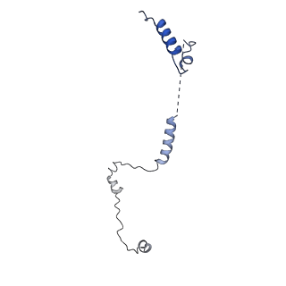 11488_6zwm_H_v1-0
cryo-EM structure of human mTOR complex 2, overall refinement