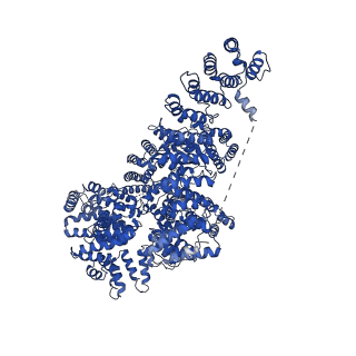 11492_6zwo_B_v1-0
cryo-EM structure of human mTOR complex 2, focused on one half