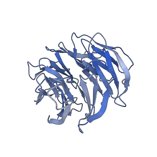 11492_6zwo_D_v1-0
cryo-EM structure of human mTOR complex 2, focused on one half