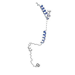 11492_6zwo_H_v1-0
cryo-EM structure of human mTOR complex 2, focused on one half