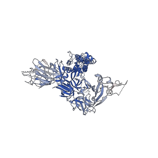 11497_6zwv_C_v1-3
Cryo-EM structure of SARS-CoV-2 Spike Proteins on intact virions: 3 Closed RBDs