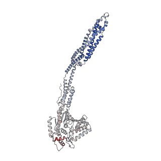 14993_7zw6_E_v1-1
Oligomeric structure of SynDLP