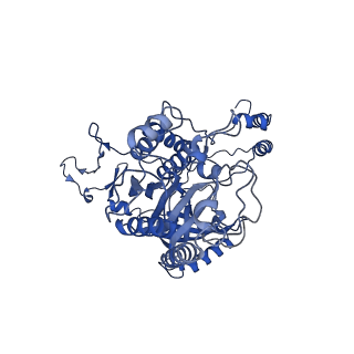 14995_7zwa_A_v1-2
CryoEM structure of Ku heterodimer bound to DNA and PAXX