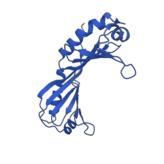 14996_7zwc_O_v1-2
Structure of SNAPc:TBP-TFIIA-TFIIB sub-complex bound to U5 snRNA promoter