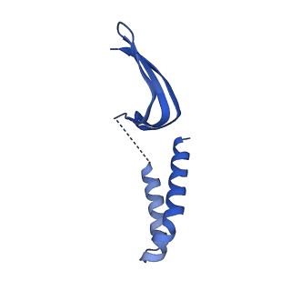 14996_7zwc_U_v1-2
Structure of SNAPc:TBP-TFIIA-TFIIB sub-complex bound to U5 snRNA promoter
