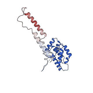 14996_7zwc_a_v1-2
Structure of SNAPc:TBP-TFIIA-TFIIB sub-complex bound to U5 snRNA promoter