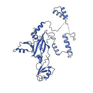 14996_7zwc_b_v1-2
Structure of SNAPc:TBP-TFIIA-TFIIB sub-complex bound to U5 snRNA promoter