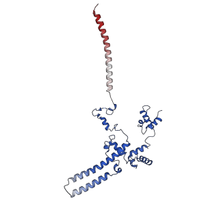 14996_7zwc_c_v1-2
Structure of SNAPc:TBP-TFIIA-TFIIB sub-complex bound to U5 snRNA promoter