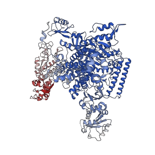 14997_7zwd_A_v1-2
Structure of SNAPc containing Pol II pre-initiation complex bound to U5 snRNA promoter (CC)