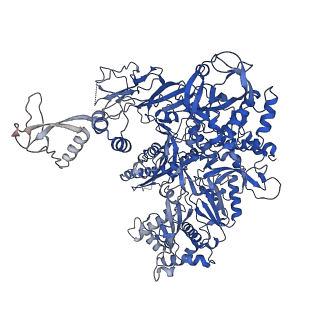 14997_7zwd_B_v1-2
Structure of SNAPc containing Pol II pre-initiation complex bound to U5 snRNA promoter (CC)