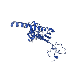 14997_7zwd_C_v1-2
Structure of SNAPc containing Pol II pre-initiation complex bound to U5 snRNA promoter (CC)