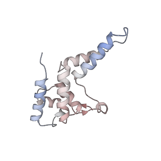 14997_7zwd_D_v1-2
Structure of SNAPc containing Pol II pre-initiation complex bound to U5 snRNA promoter (CC)