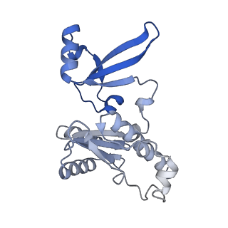 14997_7zwd_E_v1-2
Structure of SNAPc containing Pol II pre-initiation complex bound to U5 snRNA promoter (CC)