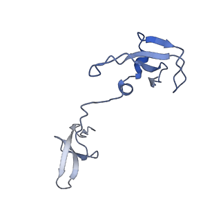 14997_7zwd_I_v1-2
Structure of SNAPc containing Pol II pre-initiation complex bound to U5 snRNA promoter (CC)