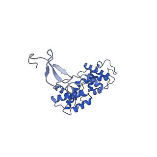 14997_7zwd_M_v1-2
Structure of SNAPc containing Pol II pre-initiation complex bound to U5 snRNA promoter (CC)