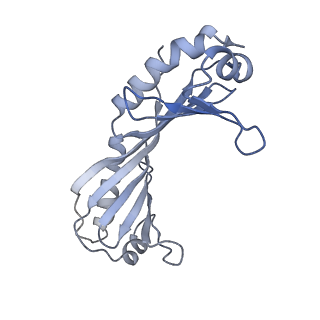 14997_7zwd_O_v1-2
Structure of SNAPc containing Pol II pre-initiation complex bound to U5 snRNA promoter (CC)