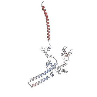 14997_7zwd_c_v1-2
Structure of SNAPc containing Pol II pre-initiation complex bound to U5 snRNA promoter (CC)