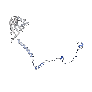 6973_5zwn_Q_v1-2
Cryo-EM structure of the yeast pre-B complex at an average resolution of 3.3 angstrom (Part II: U1 snRNP region)