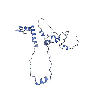 6973_5zwn_R_v1-2
Cryo-EM structure of the yeast pre-B complex at an average resolution of 3.3 angstrom (Part II: U1 snRNP region)