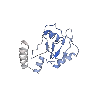 6973_5zwn_S_v1-1
Cryo-EM structure of the yeast pre-B complex at an average resolution of 3.3 angstrom (Part II: U1 snRNP region)
