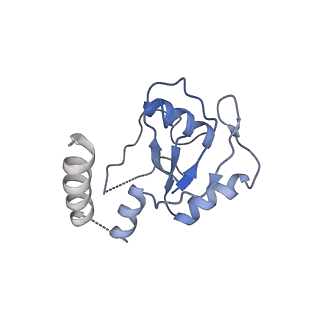 6973_5zwn_S_v1-2
Cryo-EM structure of the yeast pre-B complex at an average resolution of 3.3 angstrom (Part II: U1 snRNP region)