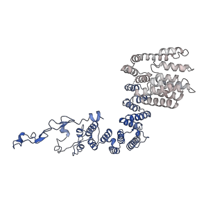 6973_5zwn_U_v1-1
Cryo-EM structure of the yeast pre-B complex at an average resolution of 3.3 angstrom (Part II: U1 snRNP region)