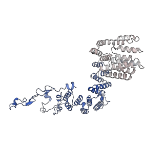 6973_5zwn_U_v1-2
Cryo-EM structure of the yeast pre-B complex at an average resolution of 3.3 angstrom (Part II: U1 snRNP region)