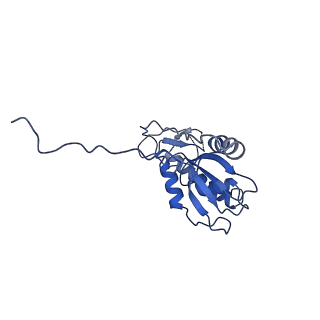 6973_5zwn_V_v1-1
Cryo-EM structure of the yeast pre-B complex at an average resolution of 3.3 angstrom (Part II: U1 snRNP region)