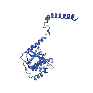 6973_5zwn_W_v1-1
Cryo-EM structure of the yeast pre-B complex at an average resolution of 3.3 angstrom (Part II: U1 snRNP region)