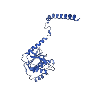 6973_5zwn_W_v1-2
Cryo-EM structure of the yeast pre-B complex at an average resolution of 3.3 angstrom (Part II: U1 snRNP region)