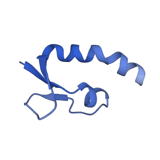 6973_5zwn_X_v1-2
Cryo-EM structure of the yeast pre-B complex at an average resolution of 3.3 angstrom (Part II: U1 snRNP region)