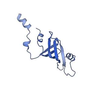 6973_5zwn_b_v1-2
Cryo-EM structure of the yeast pre-B complex at an average resolution of 3.3 angstrom (Part II: U1 snRNP region)