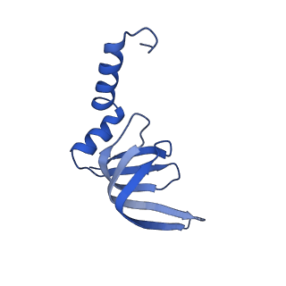6973_5zwn_c_v1-1
Cryo-EM structure of the yeast pre-B complex at an average resolution of 3.3 angstrom (Part II: U1 snRNP region)