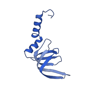 6973_5zwn_c_v1-2
Cryo-EM structure of the yeast pre-B complex at an average resolution of 3.3 angstrom (Part II: U1 snRNP region)