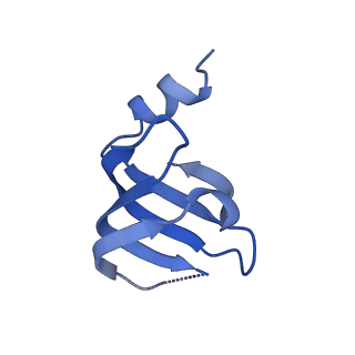 6973_5zwn_f_v1-2
Cryo-EM structure of the yeast pre-B complex at an average resolution of 3.3 angstrom (Part II: U1 snRNP region)