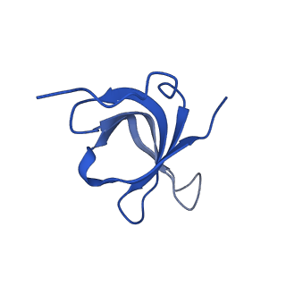 6973_5zwn_g_v1-2
Cryo-EM structure of the yeast pre-B complex at an average resolution of 3.3 angstrom (Part II: U1 snRNP region)