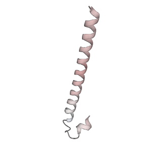 6973_5zwn_x_v1-2
Cryo-EM structure of the yeast pre-B complex at an average resolution of 3.3 angstrom (Part II: U1 snRNP region)