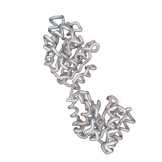 6973_5zwn_y_v1-1
Cryo-EM structure of the yeast pre-B complex at an average resolution of 3.3 angstrom (Part II: U1 snRNP region)