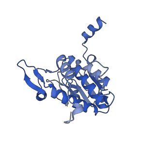 11517_6zxd_A_v1-1
Cryo-EM structure of a late human pre-40S ribosomal subunit - State F1