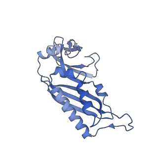 11517_6zxd_B_v1-1
Cryo-EM structure of a late human pre-40S ribosomal subunit - State F1