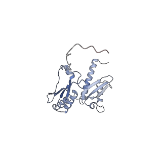 11517_6zxd_D_v1-1
Cryo-EM structure of a late human pre-40S ribosomal subunit - State F1