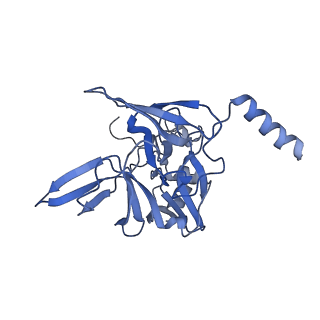 11517_6zxd_E_v1-1
Cryo-EM structure of a late human pre-40S ribosomal subunit - State F1