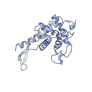 11517_6zxd_F_v1-1
Cryo-EM structure of a late human pre-40S ribosomal subunit - State F1