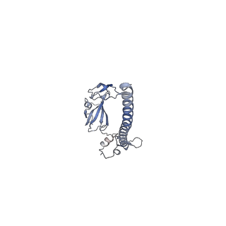 11517_6zxd_G_v1-1
Cryo-EM structure of a late human pre-40S ribosomal subunit - State F1