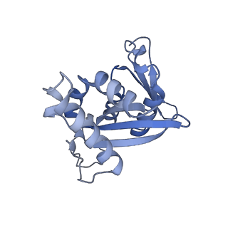 11517_6zxd_H_v1-1
Cryo-EM structure of a late human pre-40S ribosomal subunit - State F1