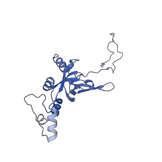 11517_6zxd_I_v1-1
Cryo-EM structure of a late human pre-40S ribosomal subunit - State F1