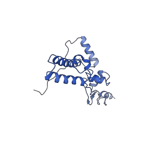 11517_6zxd_J_v1-1
Cryo-EM structure of a late human pre-40S ribosomal subunit - State F1