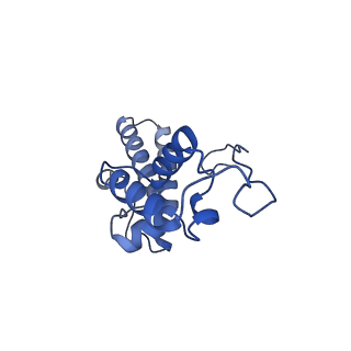 11517_6zxd_N_v1-1
Cryo-EM structure of a late human pre-40S ribosomal subunit - State F1