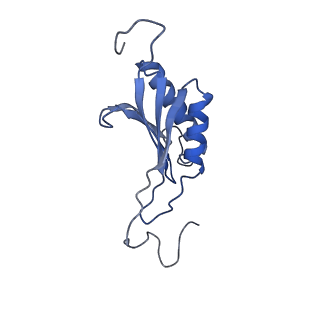 11517_6zxd_O_v1-1
Cryo-EM structure of a late human pre-40S ribosomal subunit - State F1