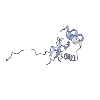 11517_6zxd_P_v1-1
Cryo-EM structure of a late human pre-40S ribosomal subunit - State F1